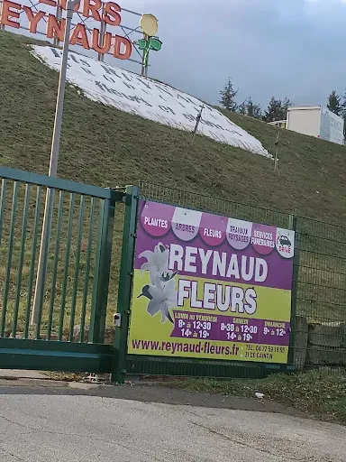 JARDINERIE REYNAUD FLEURS à La Ricamarie