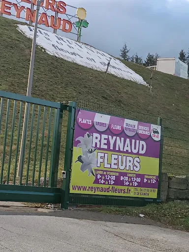 JARDINERIE REYNAUD FLEURS à La Ricamarie